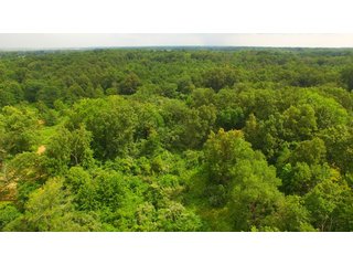 TRACT 34 - ILLINOIS LAND AUCTION - 4,810+/- ACRES OFFERED IN 85 TRACTS IN FRANKLIN, WILLIAMSON, HAMILTON & SALINE COUNTIES, ILLINOIS